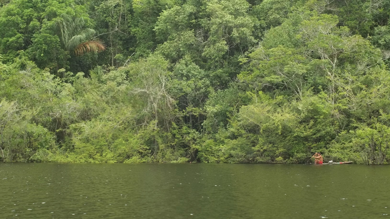 A solitary canoe travelling along the edge of the Amazon rainforest