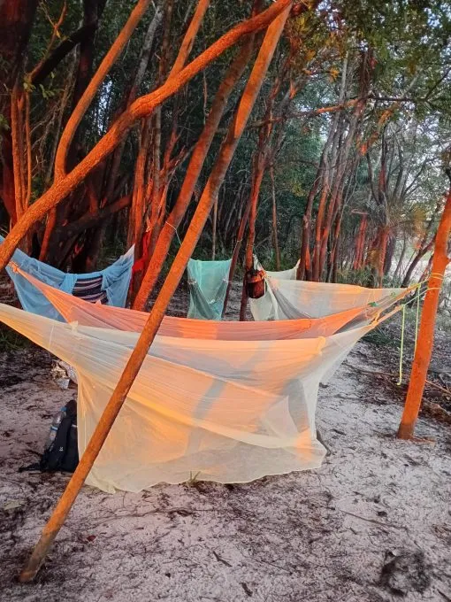 A hammock prepared beneath the trees for a forest rest
