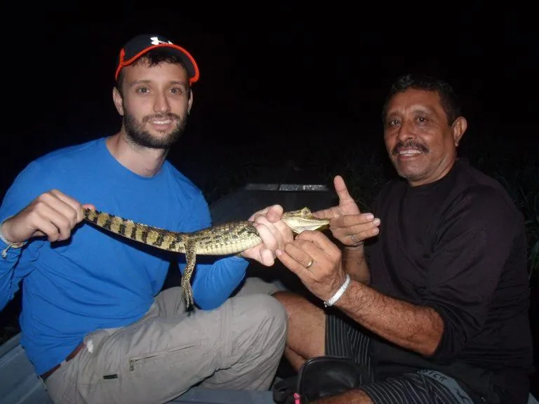 A guided evening wildlife encounter with a young caiman