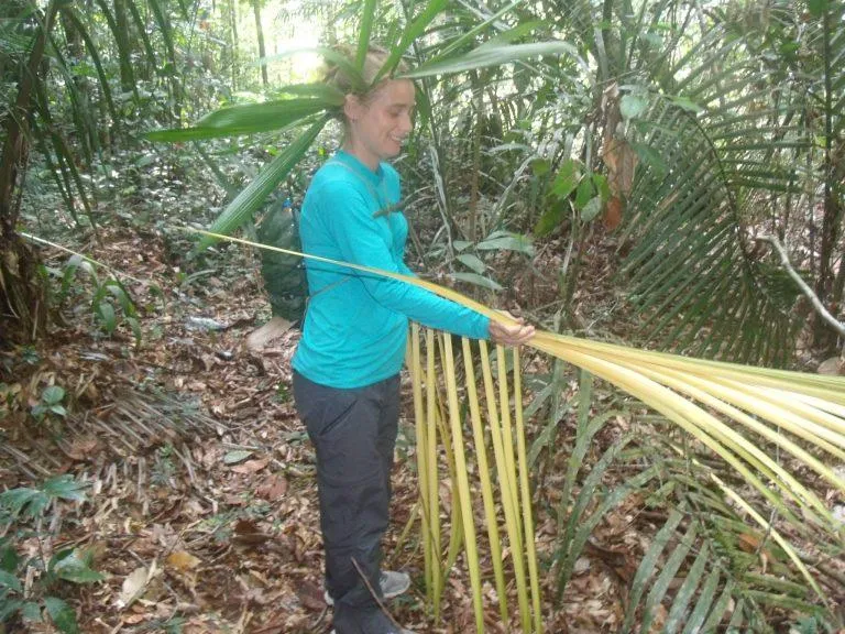 Hands-on learning with materials gathered in the forest