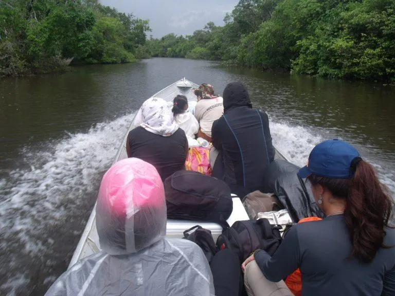 Travelling deeper into the forest by motorised canoe