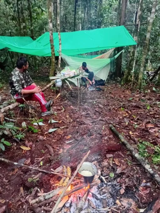 A remote forest camp used during the extended safari