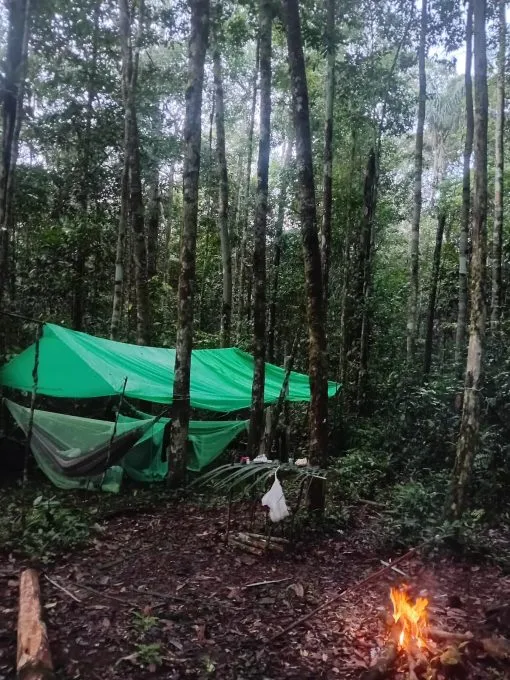 A hammock camp established beneath the rainforest canopy