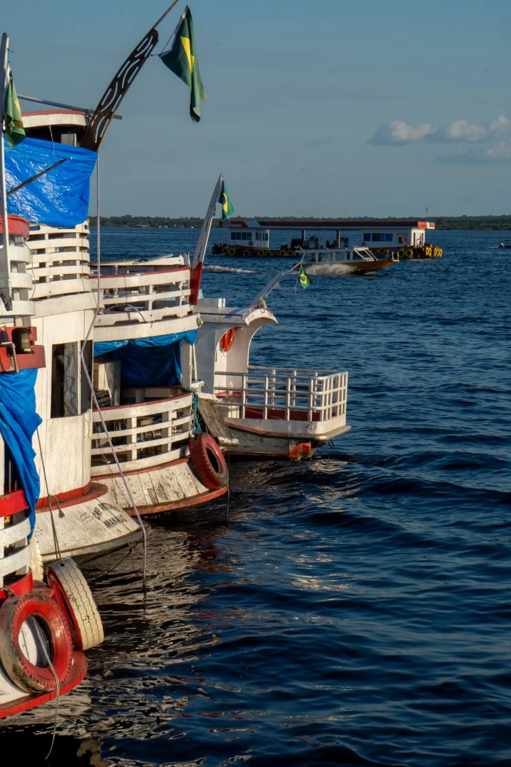 Rio Negro Explorer Cruise