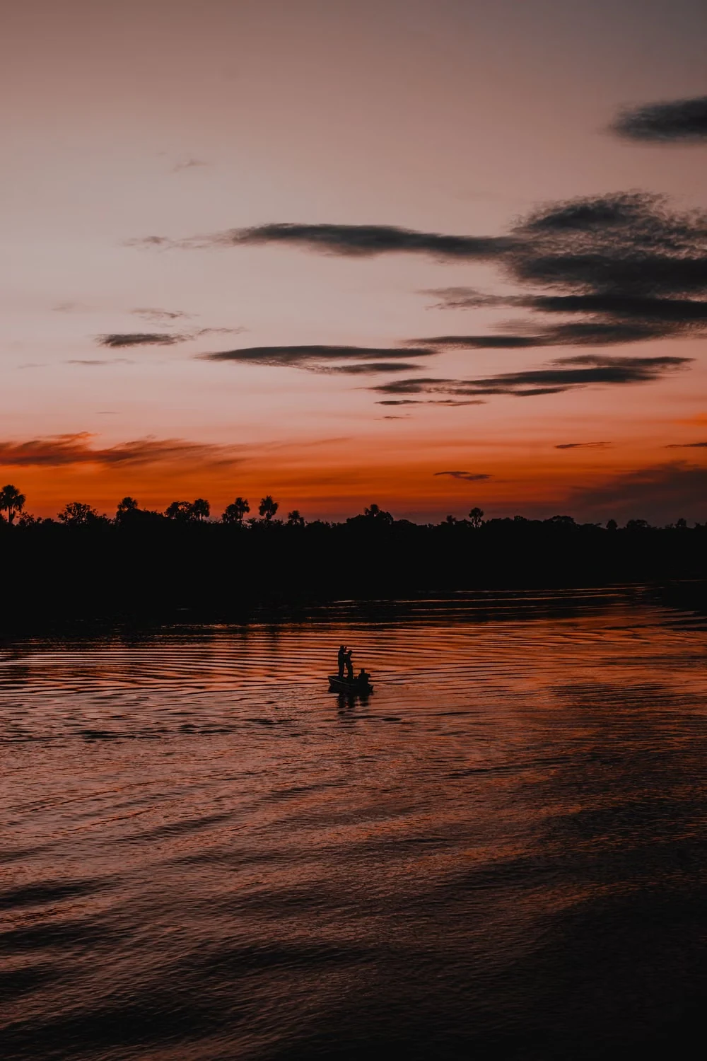 Anavilhanas Expedition Cruise
